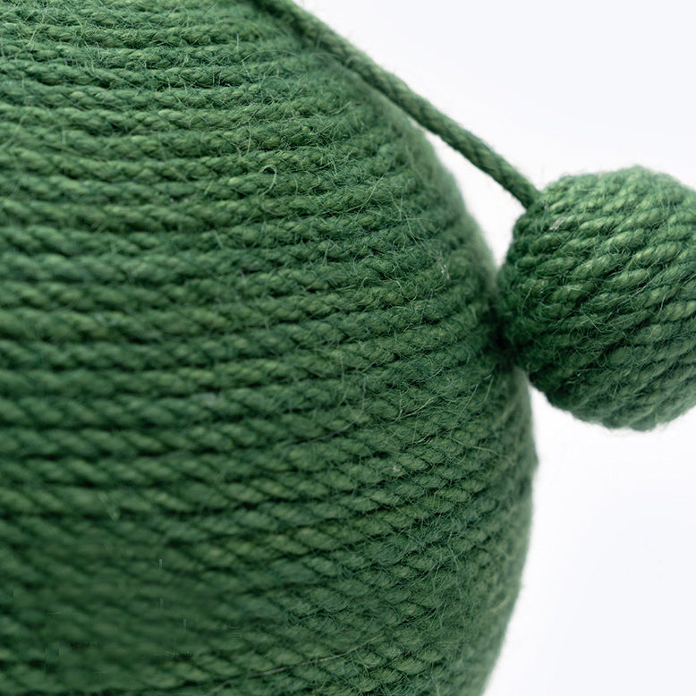 Cactus cat scratching ball