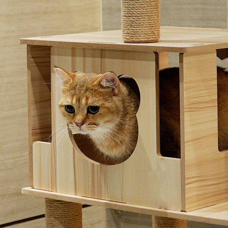 Wooden 5 lever large cat tree with stair