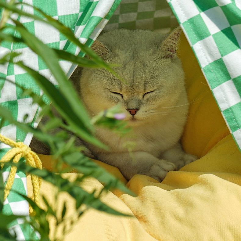 Checkerboard Patterns pet tent with cat ball