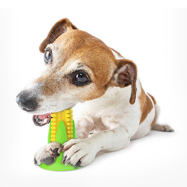 Suction cup vocal corn chew toy