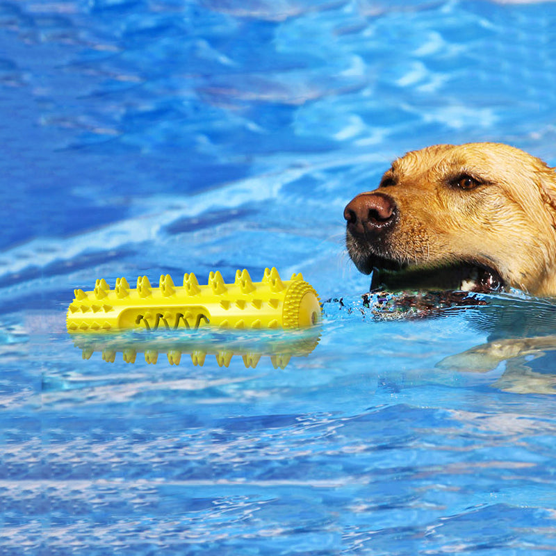 vocal serrated dog toothbrush