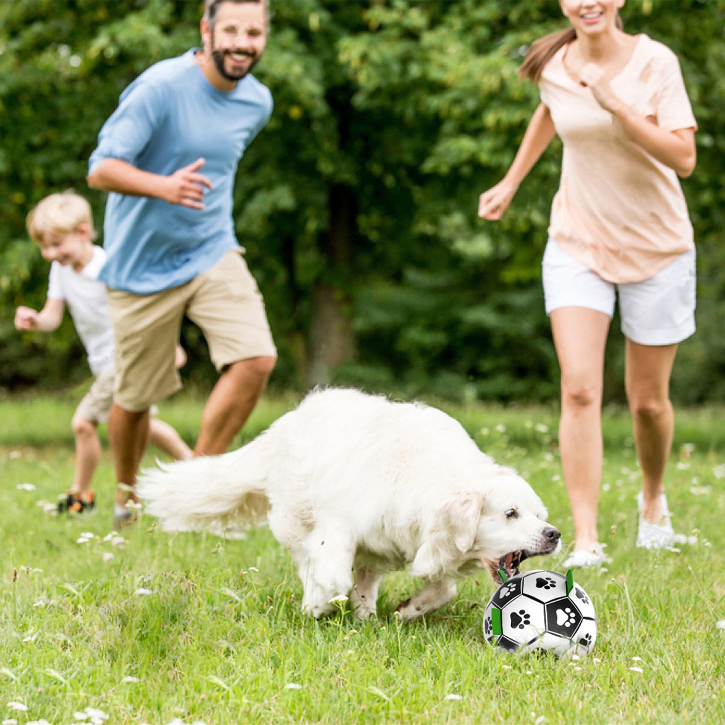 Dog footballs toys