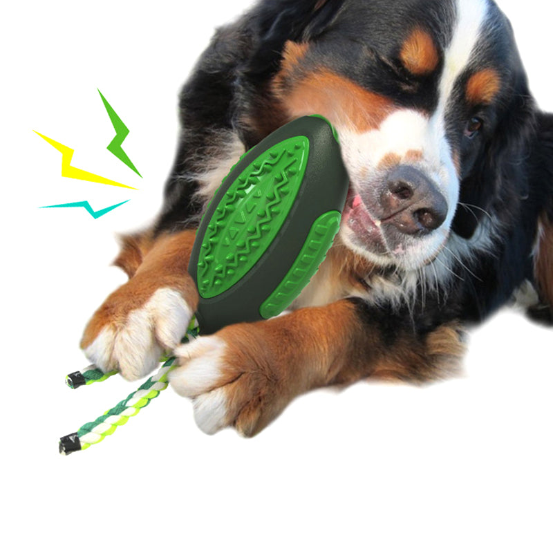 Vocal Rugby Dog Toy