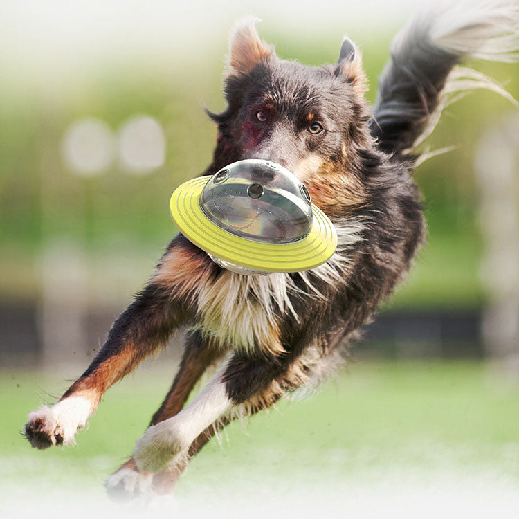 UFO dog slow feeder toys