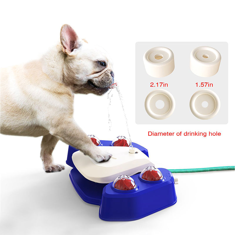 Outdoor dog automatic water dispenser