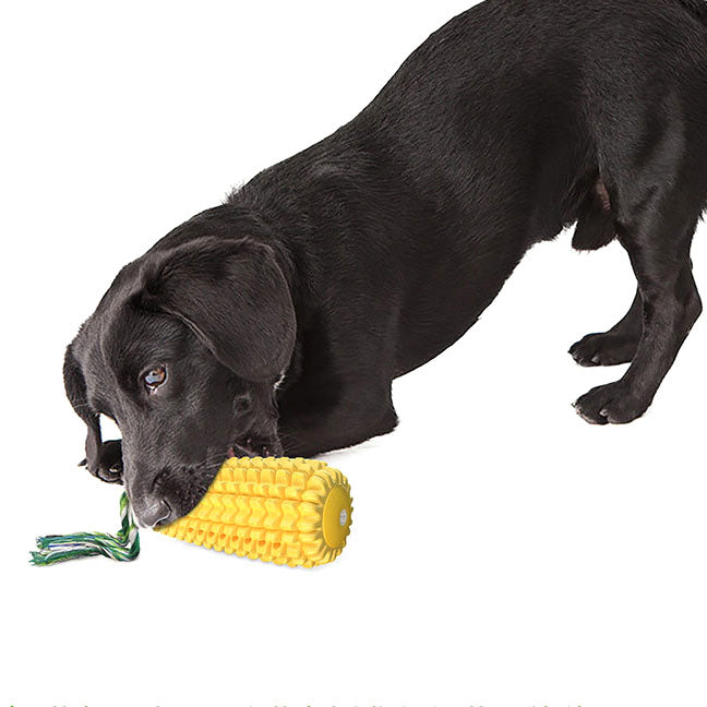 Vocal corn dog toothbrush