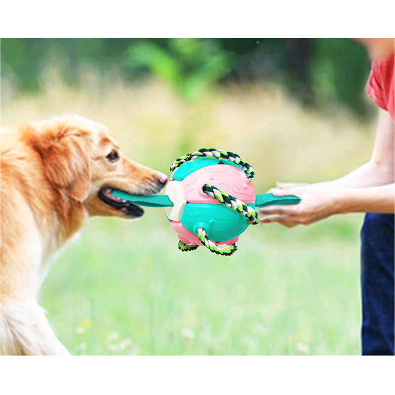 Multi-functional dog Frisbee ball