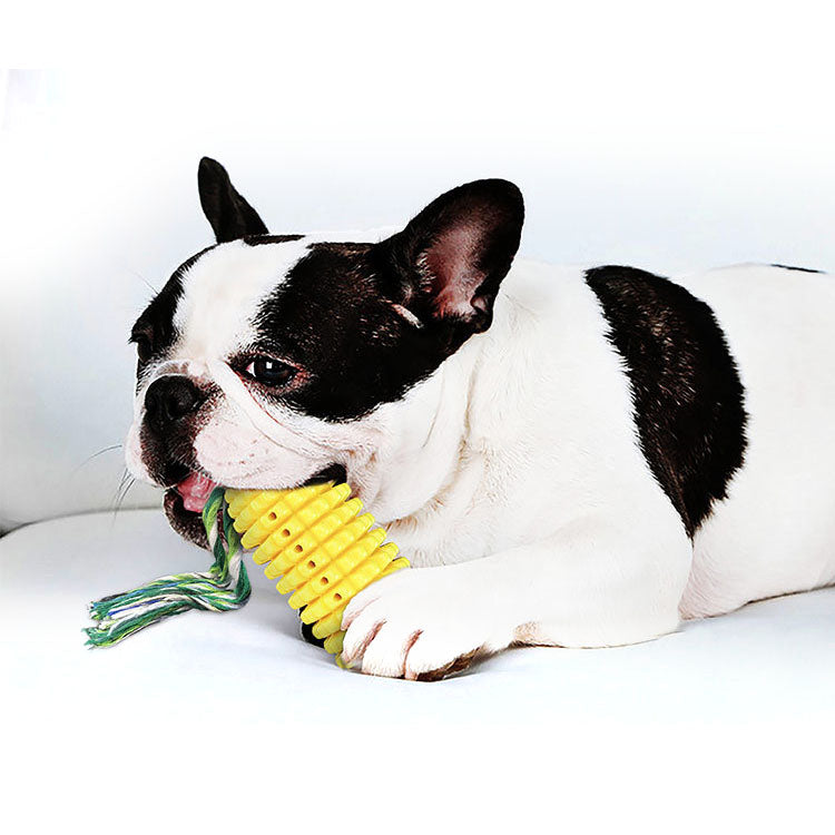 Vocal corn dog toothbrush