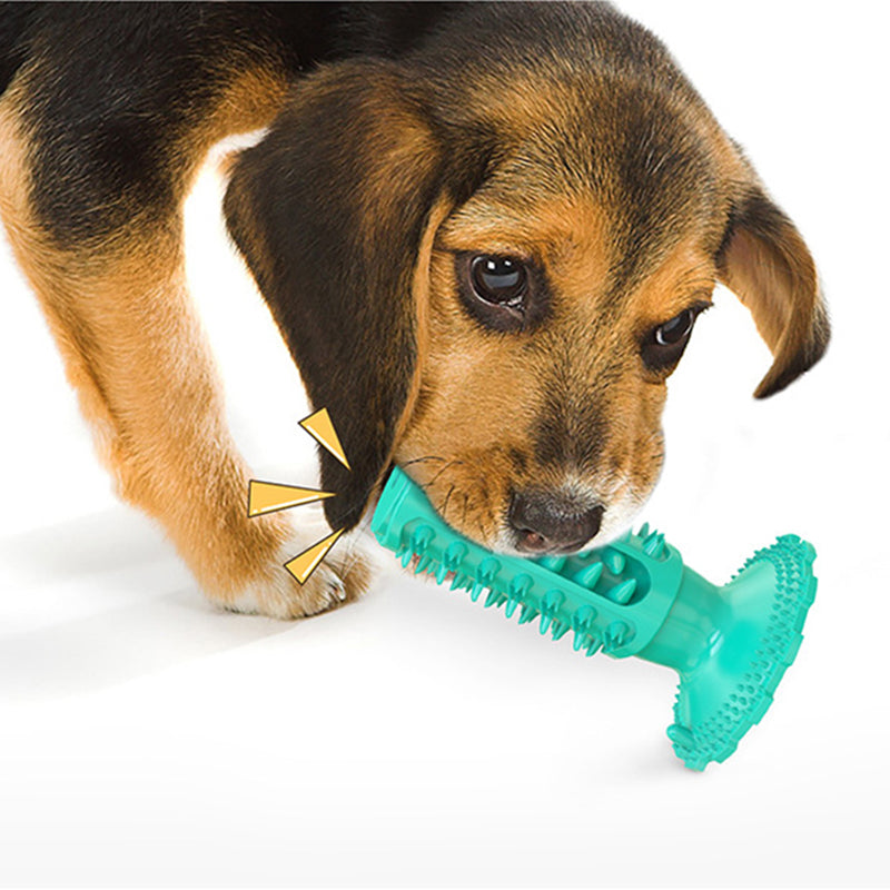 Classic vocal dog toothbrush