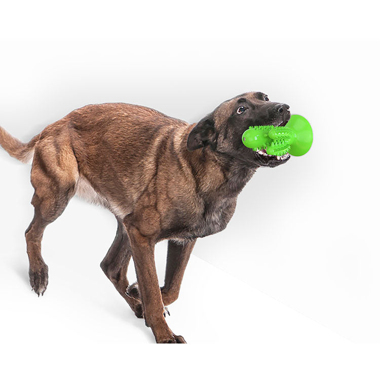 Vocal Cactus Dog Toothbrush