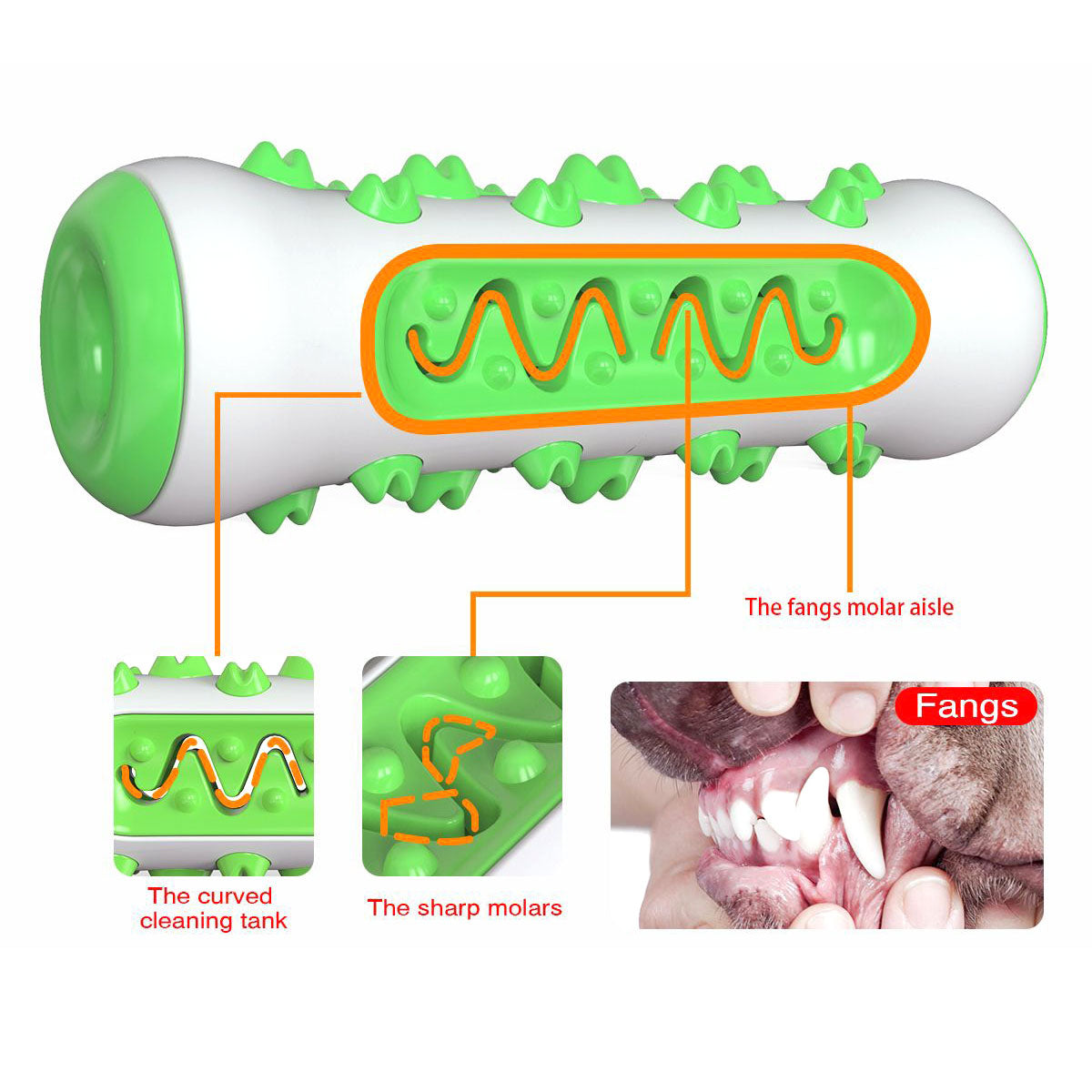 Bone dog toothbrush for medium and large dogs