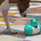 Vocal Rugby Dog Toy