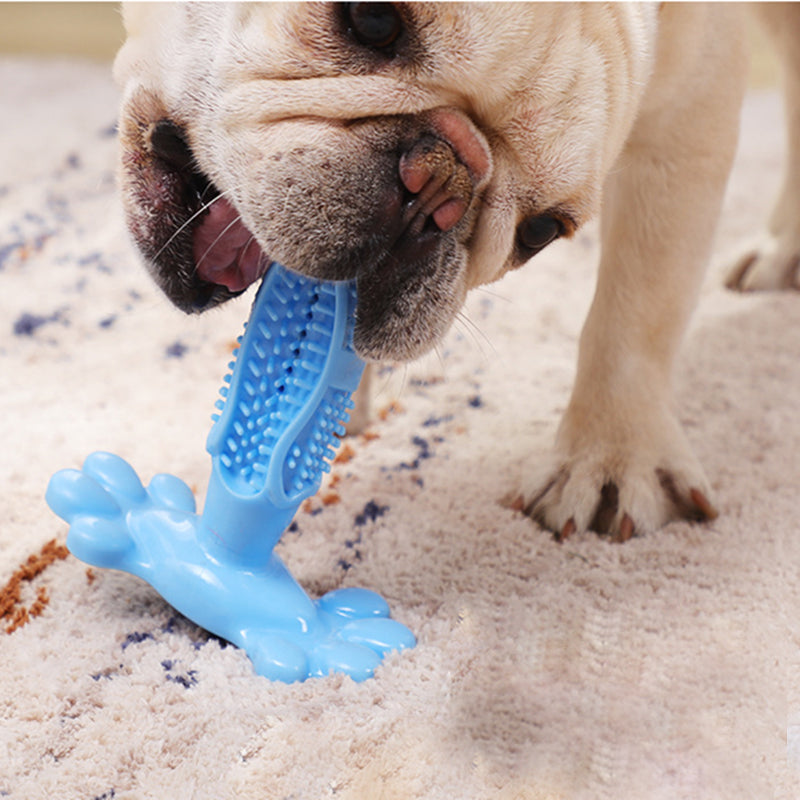 Dog paw base toothbrush