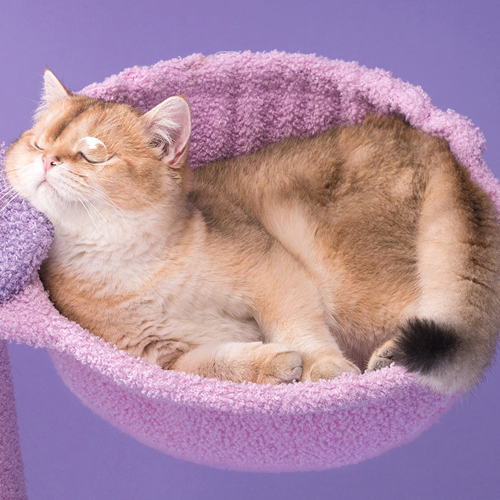 Star moon and cloud purple cat tree