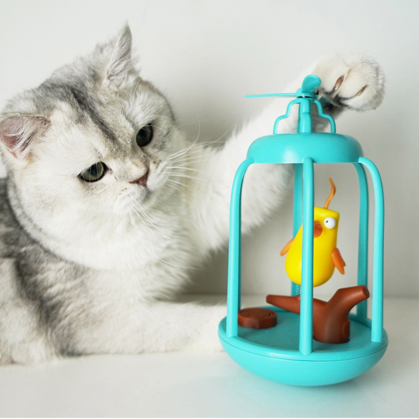 Birdcage cat toys