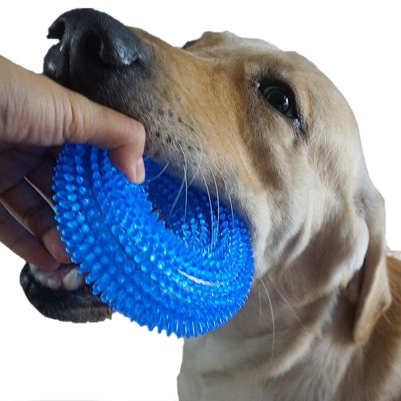 Thorn Circle Ring Shape Squeaky Dog Chewy Toy