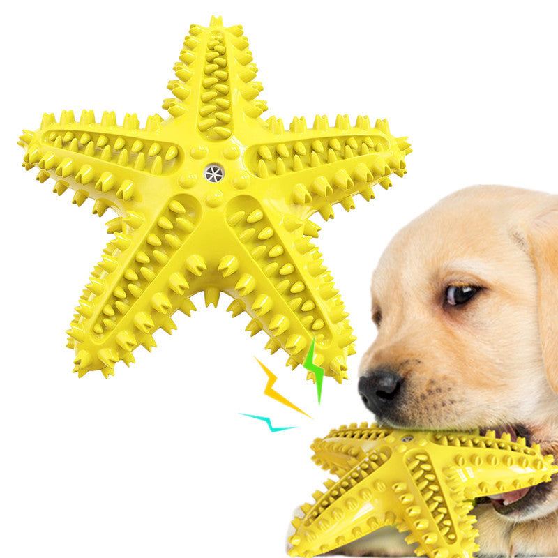 Vocal Starfish Chew Toy