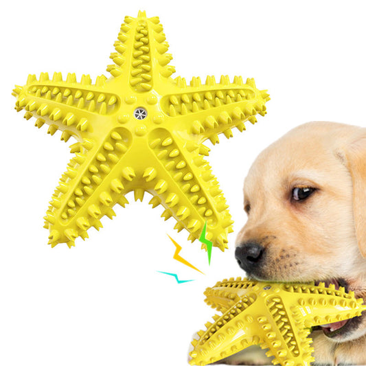 Vocal Starfish Chew Toy