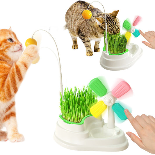 Cat Grass Pinwheel