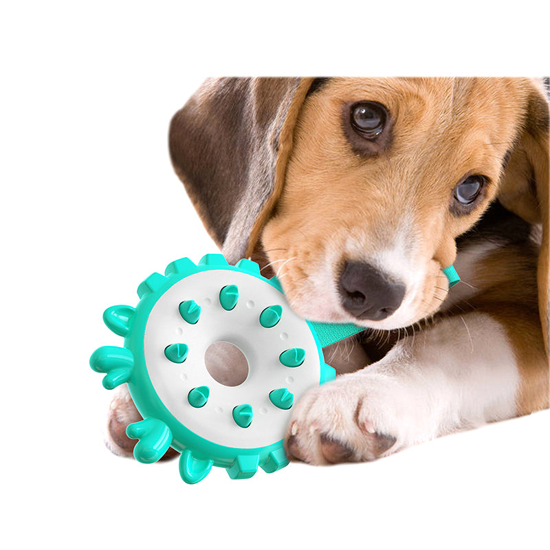 Energy Circle Dog Chew Toy