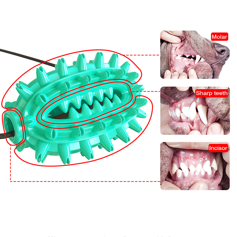 Dog Chew Suction Cup Tug of War Toy