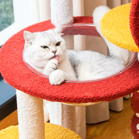 Sugar-coated haws cat tree 3 sizes