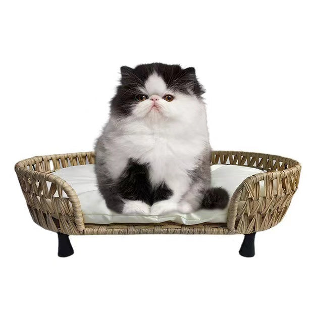 rattan-weaved oval pet bed with pp cotton mat