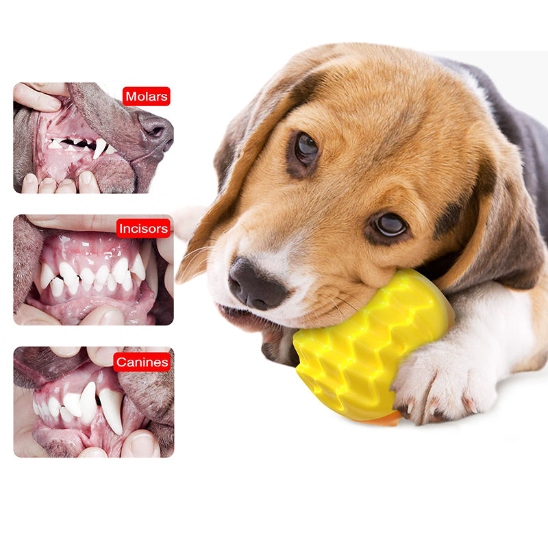 Vocal training chew toys