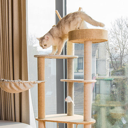 Large cat tree with scratcher and kennel