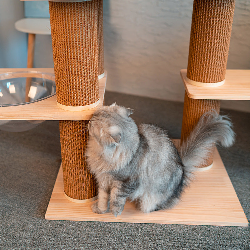 New update pine wood cat climbing frame with house