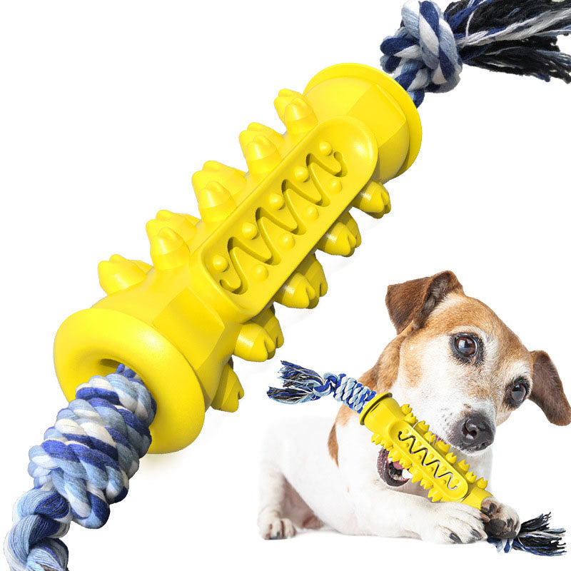 Chew toy with rope