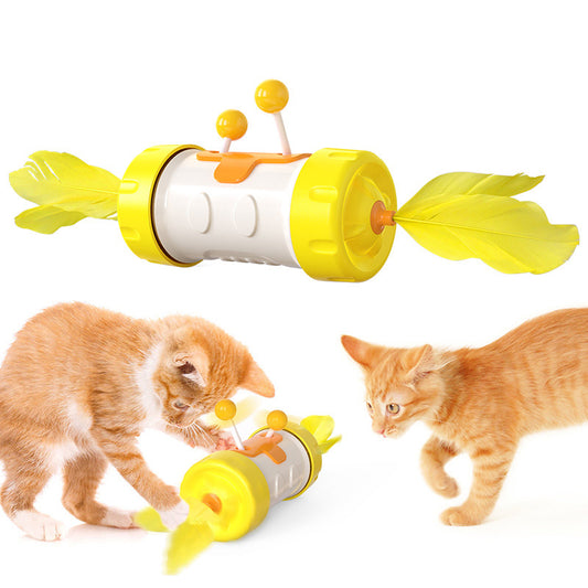 Magic Wheel Cat Toys