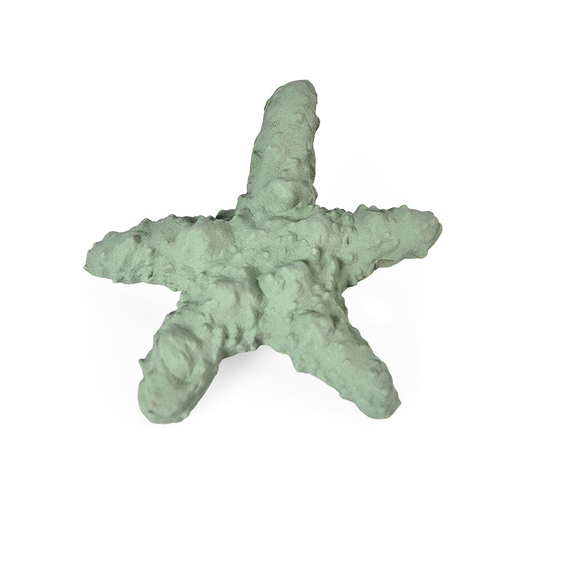 Starfish Shape Feeder Dog Toys