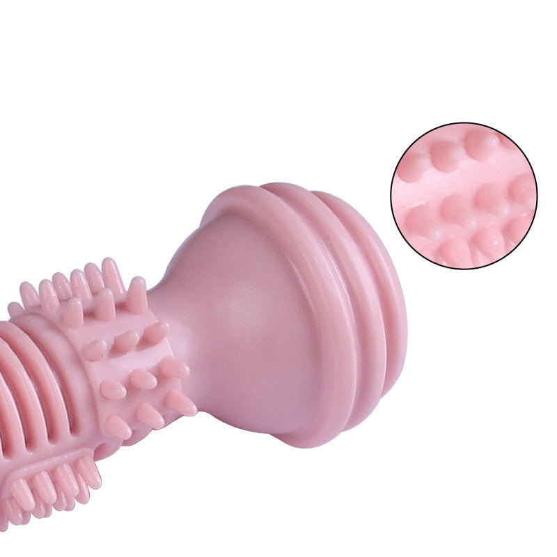 TPR Toothbrush Shape Chew Dog Toys