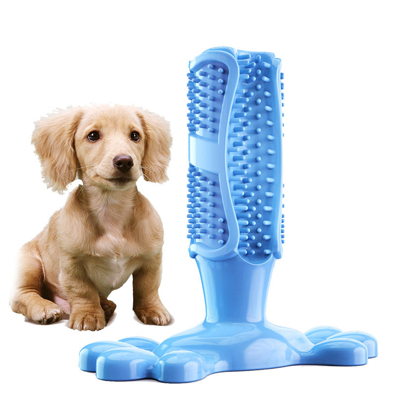 Dog paw base toothbrush