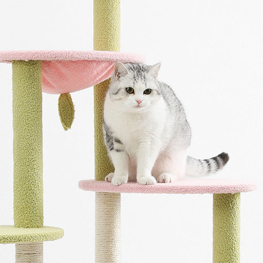 Multi-lever pink cat tree with box