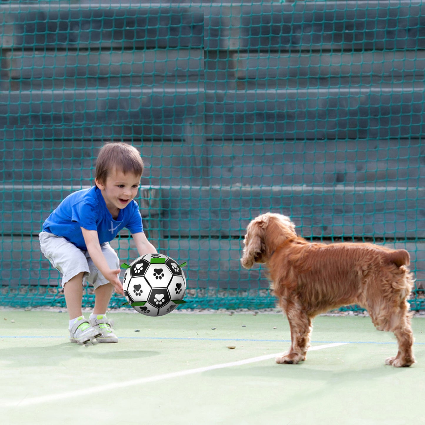 Dog footballs toys