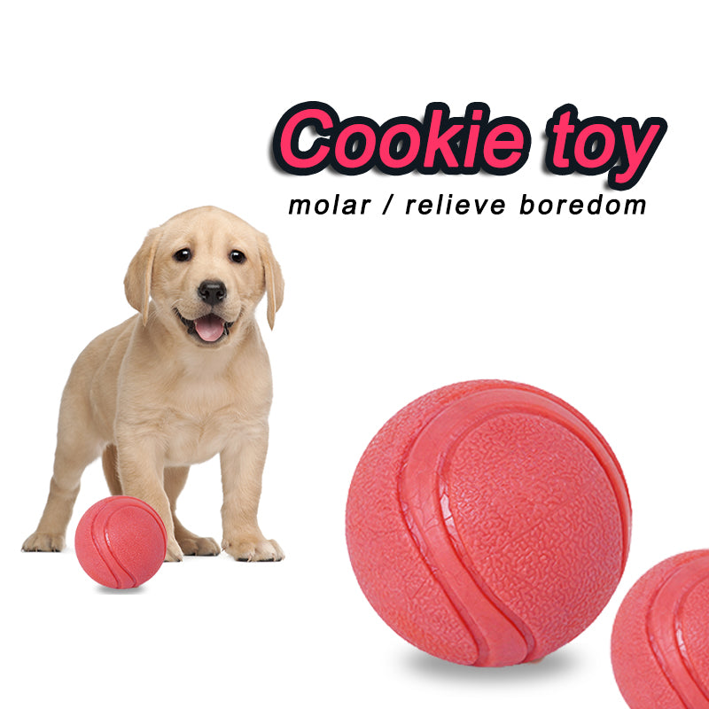 Durable Interactive Fetch Chew Tennis Ball Dog Toys