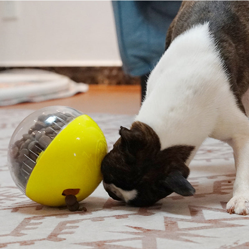 Dog IQ Feeding Balls