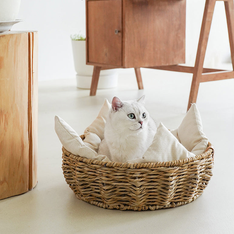 Hand-made plastic rattan waved pet bed