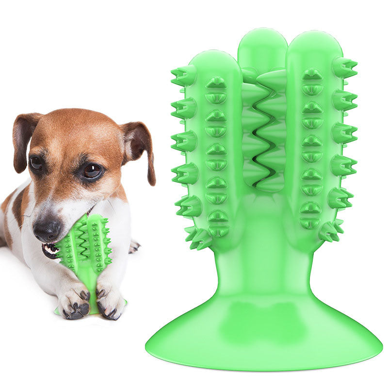 Cactus chew toys