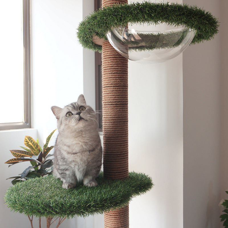 PV lawn tall cat tree