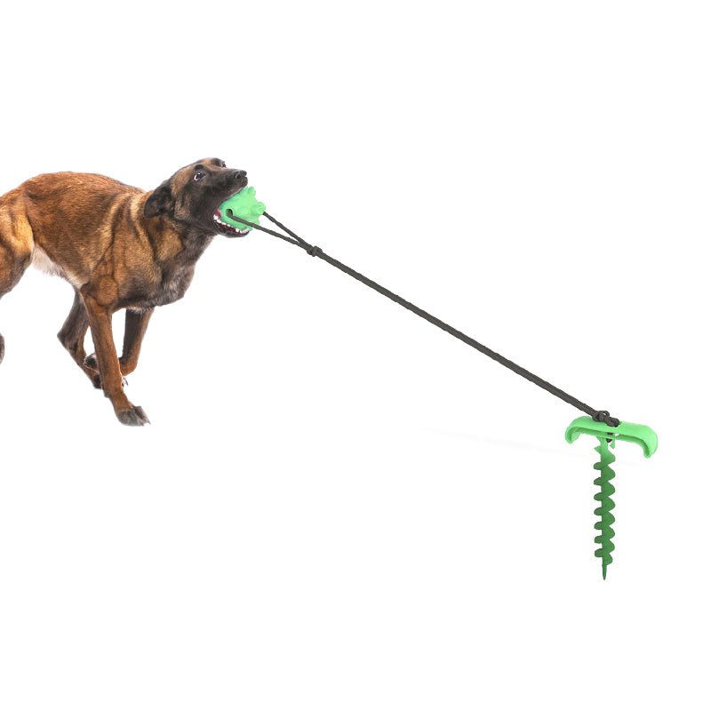 Tie-out Stick Cable Pet Leash Post Dog Ball Set