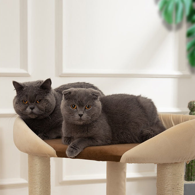 Japanese style cat tree with soft bed