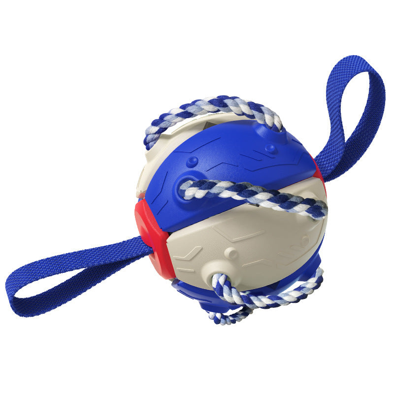 Multi-functional dog Frisbee ball