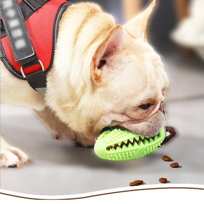 Dogs leak food and training balls