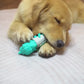 Eagle head shape dog chew toy