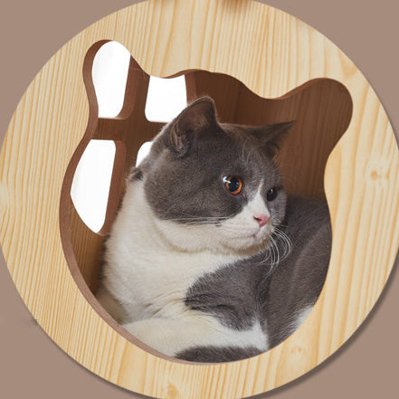 Luxury wooden cat house pet condo