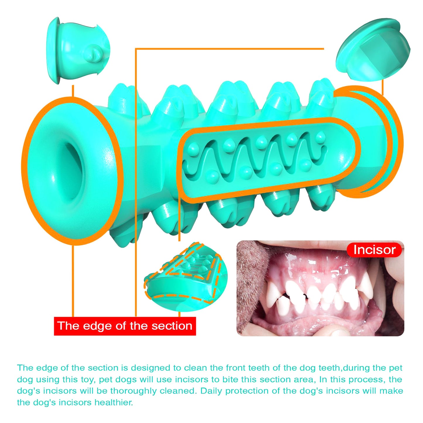 Serrated Dog Chew Toy - Small Dog