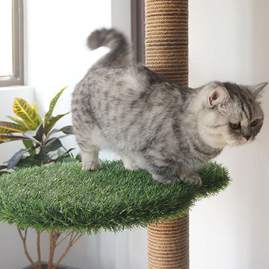 PV lawn tall cat tree